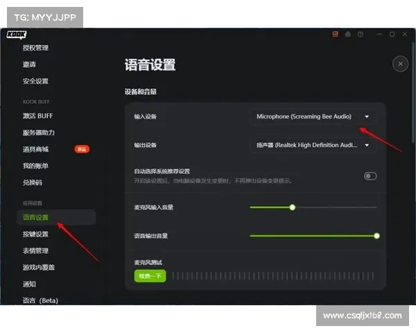 MorphVox Pro优化语音效果秘籍 MorphVox Pro优化语音效果秘籍