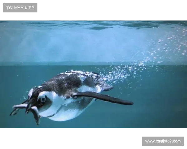 探寻遗失的传奇与神秘生物的奥秘之旅