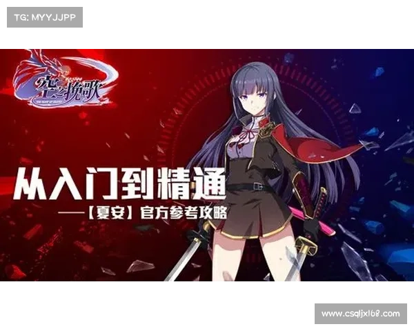 朱雀天境修炼全攻略：新手入门到高手成长的全面指南