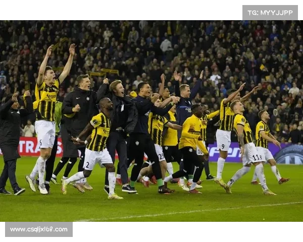 全面解析欧协联决赛规则细节与观赛指南实用攻略手册大全终极版