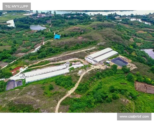 探讨中国足球追平巴西足球的关键路径与全面振兴发展策略蓝图构建